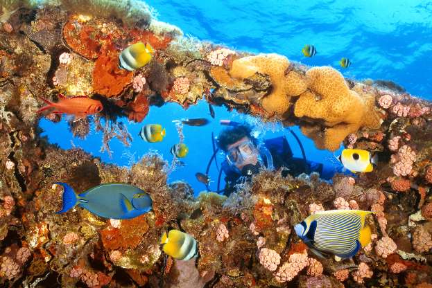 澳洲：大堡礁（Great Barrier Reef, Australia）