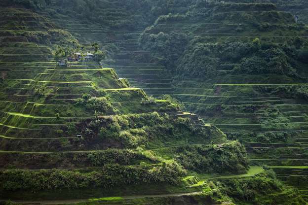 菲律賓：科迪勒拉山的水稻梯田