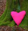love5