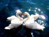 love5