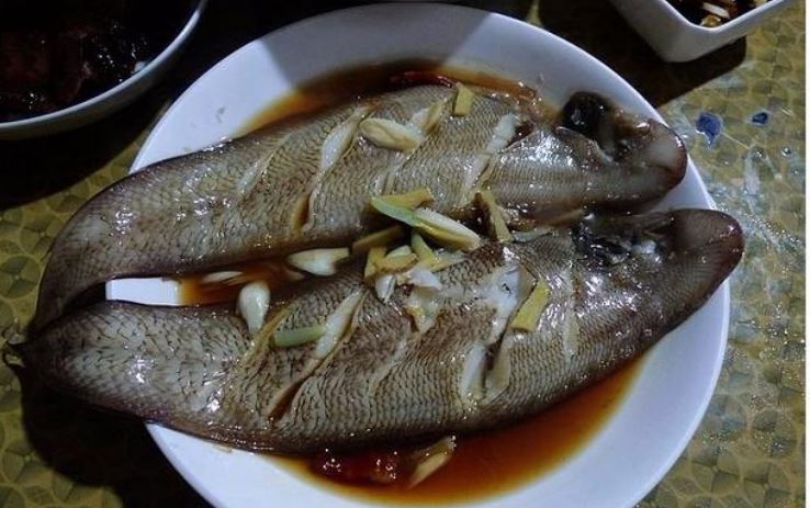 清蒸玉禿魚