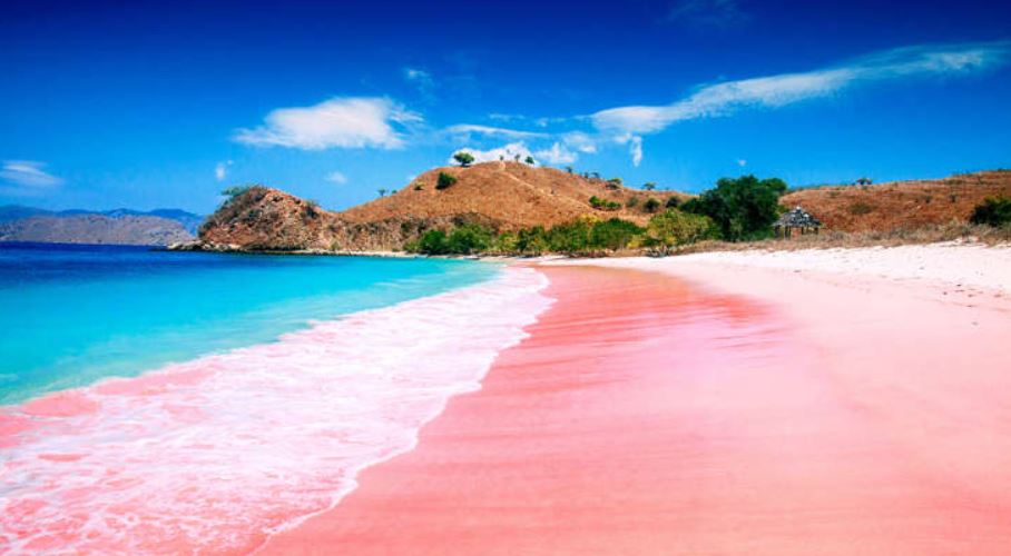 印尼粉紅海灘