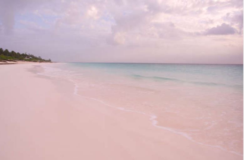 巴哈馬粉紅沙灘